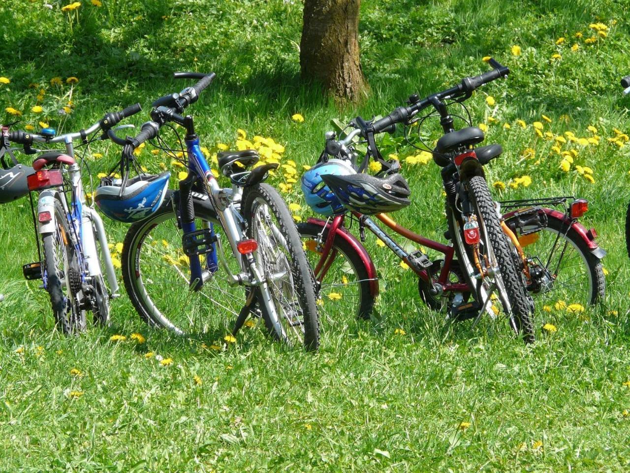 Borgo Carida - Green Family Holidays Zaccanopoli المظهر الخارجي الصورة